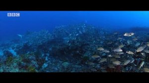 Wider World3_Unit2 BBC Culture – Severe weather (Part 1)