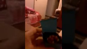 Семей туган калам