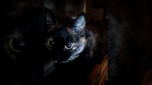 Лучшие подруги)))) смотреть онлайн