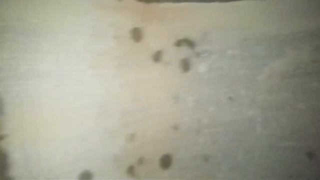 podkapaev.ru. ст.Новинки. Мутная вода, лопнувшие кольца из за отсутствия в них арматуры. смотреть онлайн