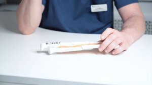 Лучевая кость для остеосинтеза