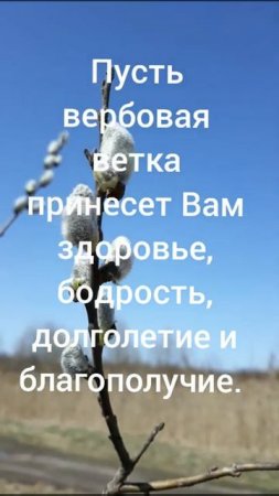 С ВЕРБНЫМ ВОСКРЕСЕНЬЕМ !