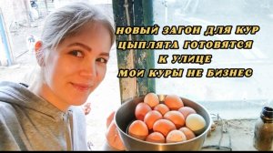 Куриный рай! Расширяем выгул, боремся с паразитами и строим планы