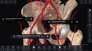 CoronaMortis. Корона смерти.