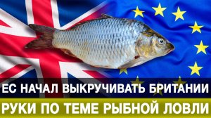 ЕС начал выкручивать Британии руки по теме рыбной ловли