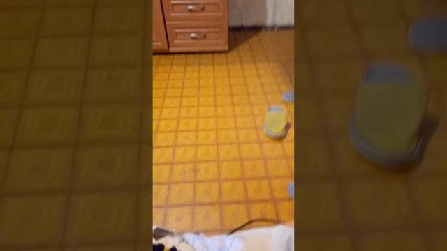 замок Ольденбургских 10 часть