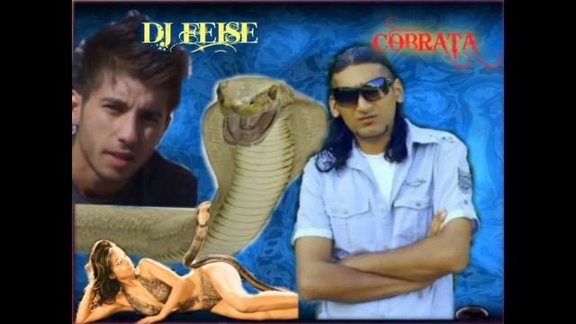 COBRATA and dj FEISE 2013 new hit PROSTI MI MILA смотреть онлайн
