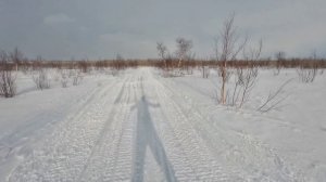 31.03.2025. Лыжная тренировка. День 7.