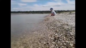 Путешествия по Ростовской области. Чумбур коса