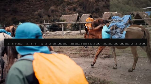 Optical Flow | Cinematic LUTs | Easily Enhance Video Colors смотреть онлайн