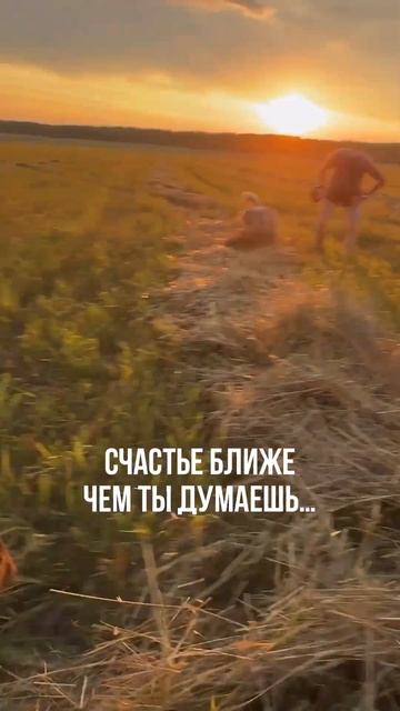Счастье ближе чем ты думаешь... #счастье #счастьевмелочах #мотивация #бытьвмоменте #кайф #собака