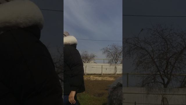 1000149438.mp4Пуховый обзорчик.т.89020931602 смотреть онлайн