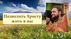 ПОЗВОЛИТЬ ХРИСТУ ЖИТЬ В НАС. Отец Савва (Мажуко).