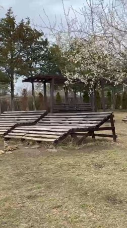 Природный солярий на горе Сосновая в Кисловодске