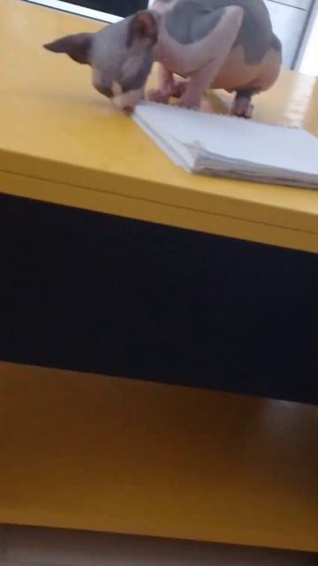 20 апреля 2023 г. смотреть онлайн