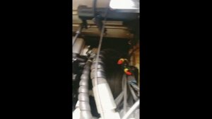 Погрузчик Long King CDM 308 не работают (заблокированы) джойстики подъёма, опускания стрелы и ковша