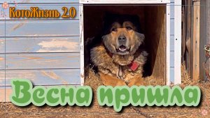 Весна пришла