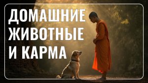 Домашние животные и карма