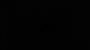 Заглушка самореза двери (серебристая) SOLARIS СОЛЯРИС