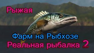 Реальная рыбалка 2. Фарм на рыбхозе.