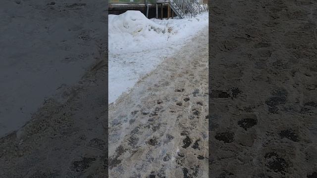 7 марта 2025 г., 10:49:38
ул. Полины Осипенко
VID_20250307_104813010
