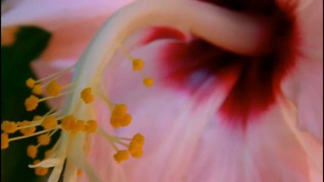 test/ virtualdub 1.9.9 slow motion(12.5 fps).avi смотреть онлайн