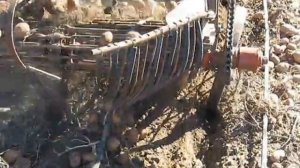 Картофелекопатель для Т-25 двухрядный!