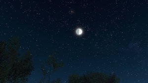 ПАССАЖИР (В СОЗВЕЗДИИ ВОДОЛЕЯ)