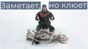Заметает, но клюет DF 88