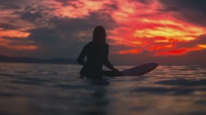 Дикая природа - Dolby Vision™, 8K HDR видео 120 кадров в секунду ULTRA HD HDR10+ #8K