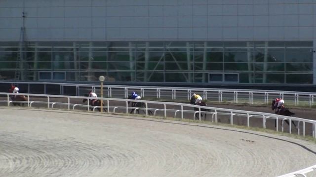 Флауеринг Леди- Приз Аналогичной,ипп. Акбузат,01.06.2013г. смотреть онлайн