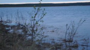 Охота на турпана в Жиганском районе Республики Саха (Якутия)