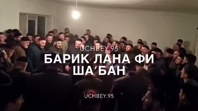 #Зикар❤️ смотреть онлайн