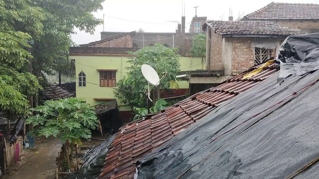 Naturally Peaceful And Beautiful forest Village Life in Rainy Season | Rural Life India village смотреть онлайн