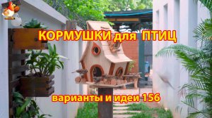 Кормушка для птиц своими руками как сделать пошагово  (156) 🪚🪛🔨 Идеи для дачи и сада❣️