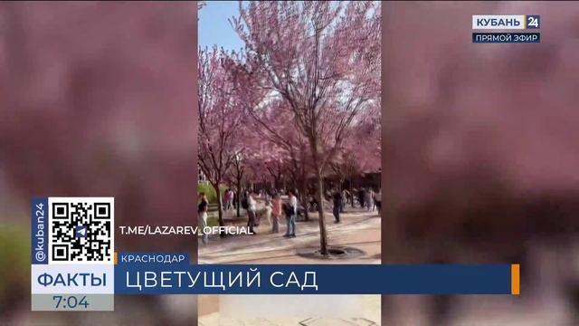 Сергей Лазарев посетил Японский сад в парке «Краснодар»