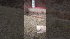 Как молиться об усопших сродниках.