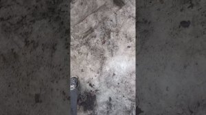 тавер оф хел в реальной жизни😁🗿
плюс жёсткое падение чела 
падение моей подруги и меня