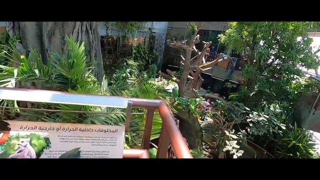 VISIT TO THE GREEN PLANET , DUBAI #greenplanet #greenplanetdubai #amazingplace #gogreen