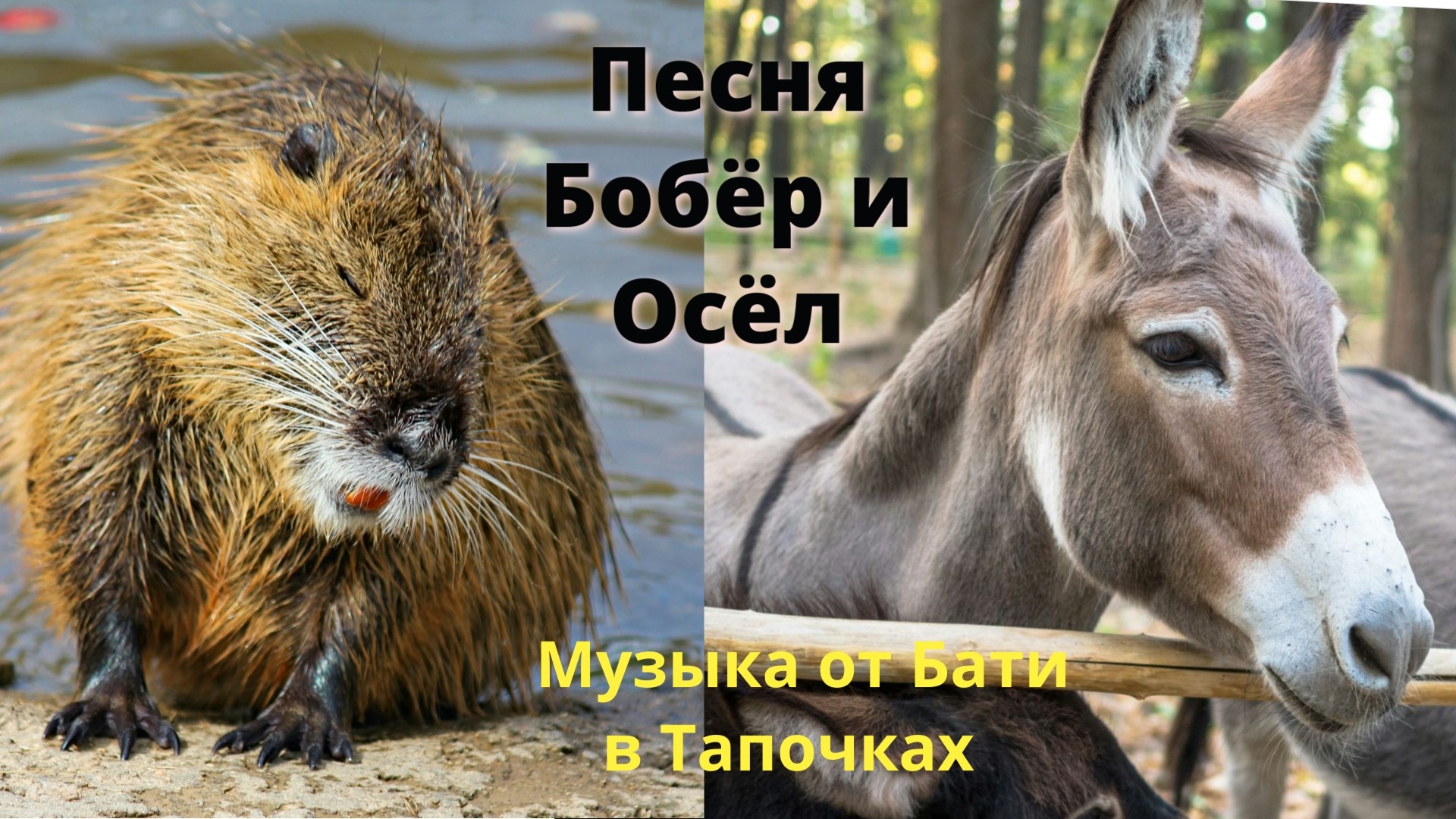 Бобёр и Осёл 4.0 (Suno Ai)