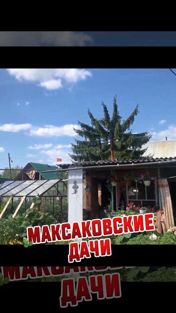 Видеообзор Максаковские дачи #shorts смотреть онлайн