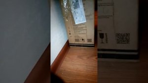 Построили дом из кортона для кота🐈#дом из картона #реакция кота