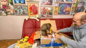 Люська добралась до распаковки и стала просто лезть на голые стены