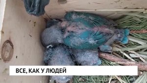 Все, как у людей