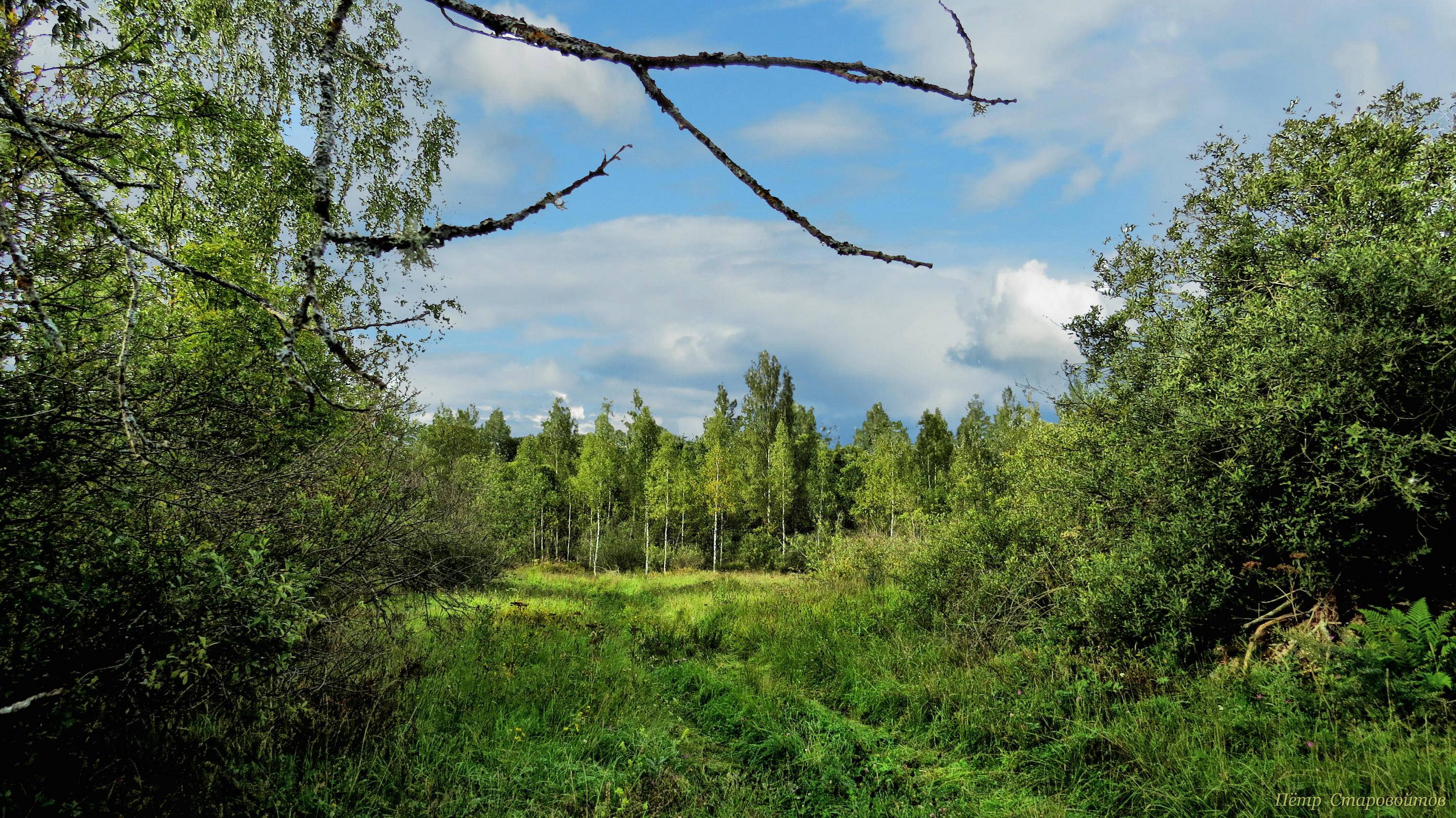На природе - 5 (слайд-шоу из моих фотографий)