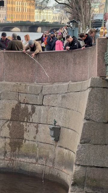 Чижик-пыжик, деньги где?