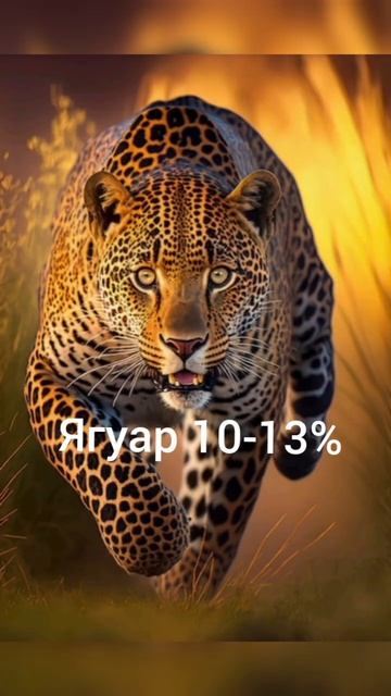 #shorts #Животные #Алабай #собаки смотреть онлайн