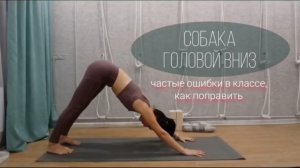 Частые ошибки в собаке головой вниз