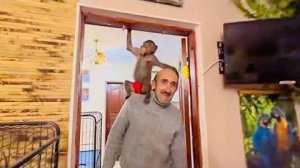 РЖАКА! Вы хотели увидеть Люсю-пожалуйста, Люська в красных труселях ГРОМИТ ДОМ))