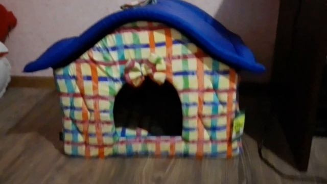 Новый дом Тайсона. Домик для кота смотреть онлайн